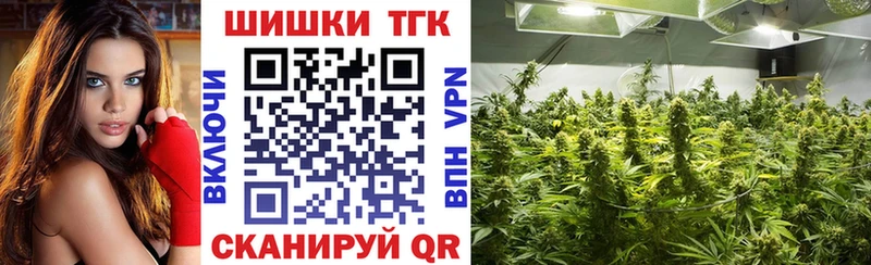Сколько стоит Кириши СК Псилоцибиновые грибы COCAIN Меф