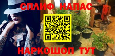 гидра Ипатово