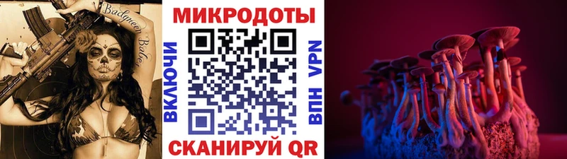 Псилоцибиновые грибы прущие грибы  Кириши 