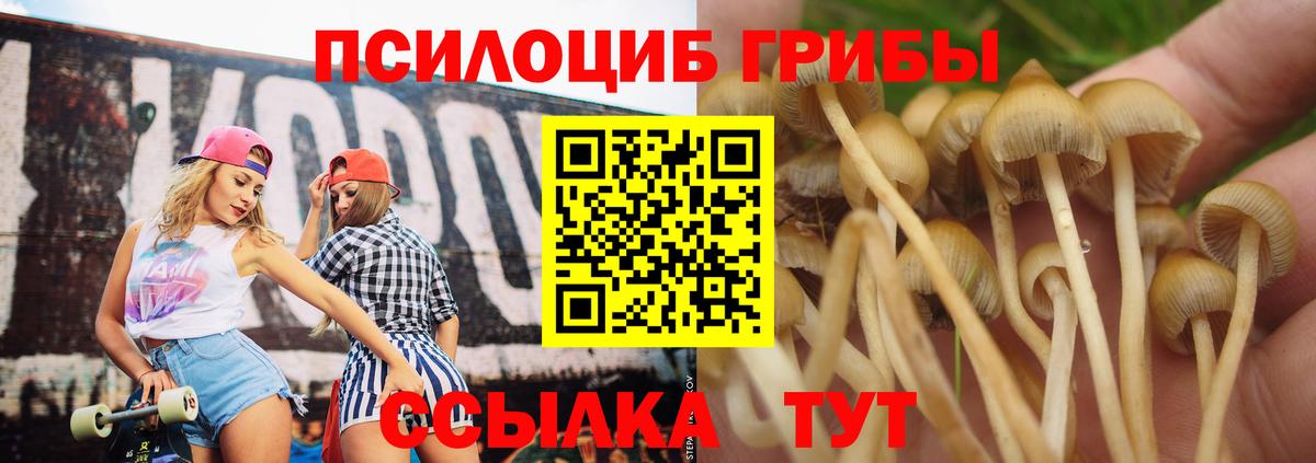 Кириши  Галлюциногенные грибы ЛСД  Вход с VPN 