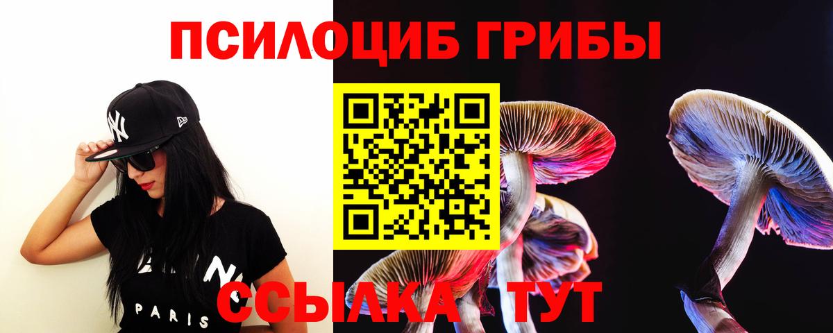 Псилоцибиновые грибы Psilocybe Кириши