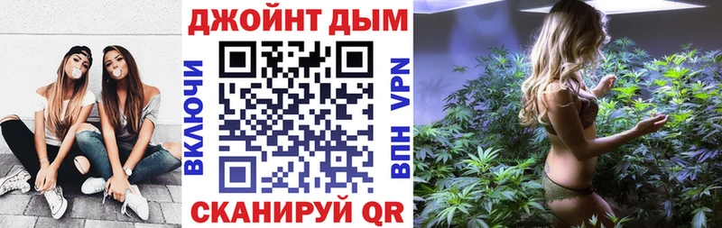 Конопля планчик Кириши