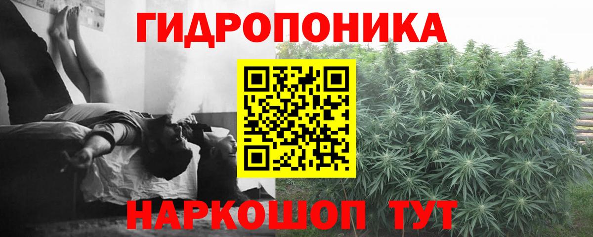 Каннабис MAZAR  Конопля MAZAR  Вход с VPN  Марихуана сатива  Конопля AK-47  Кириши 