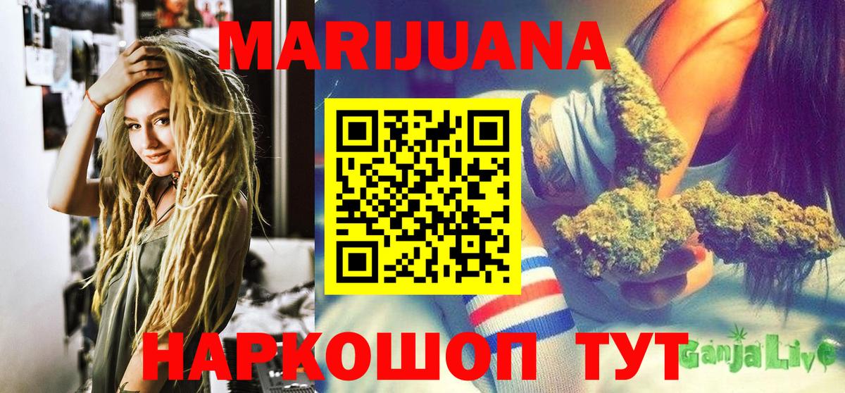 Конопля сатива Кириши